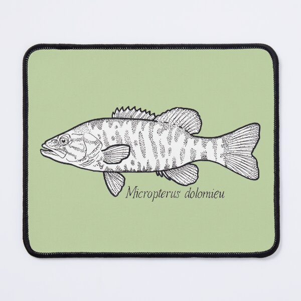 Item preview, Micropterus dolomieu (Smallmouth Bass) designed and sold by Cassie Noble.