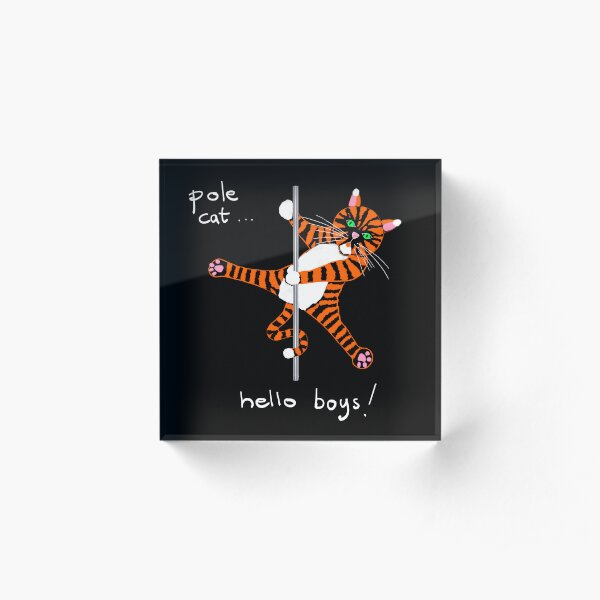 Pole Cat “Hello Boys” – Cheeky Pole Dance Cartoon Cat Illustration Acrylic Block