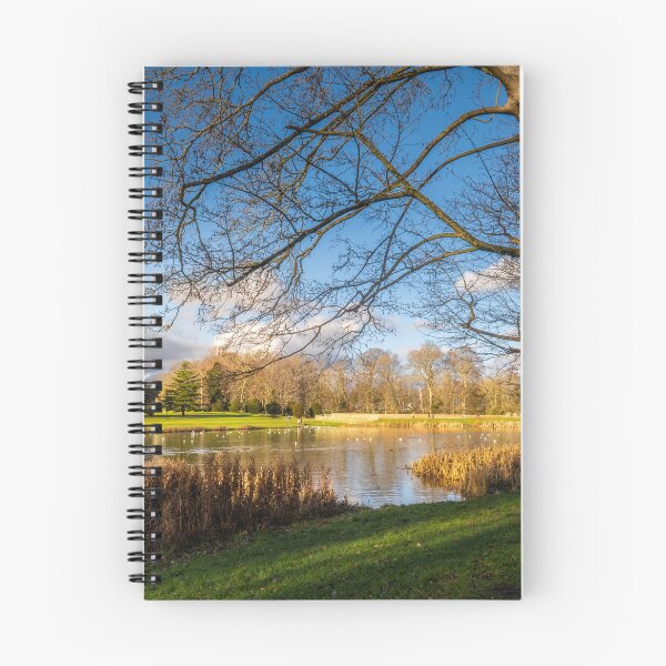 Item preview, Lydiard Park Elegance: Historic Wiltshire Heritage designed and sold by Greysline.