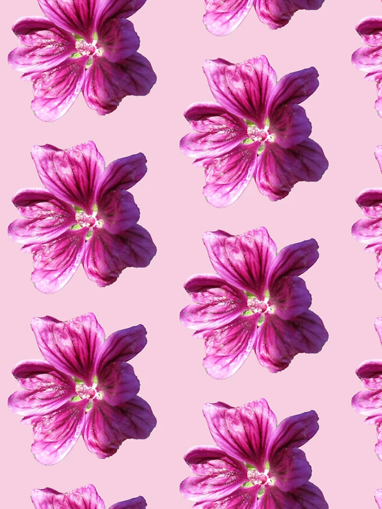 Thumbnail 4 of 4, iPhone Case, Mallow Flower Sticker designed and sold by RozDoz.