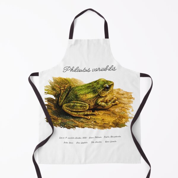 Item preview, Philautus variabilis, Asian Tree Frog designed and sold by Flores1965.