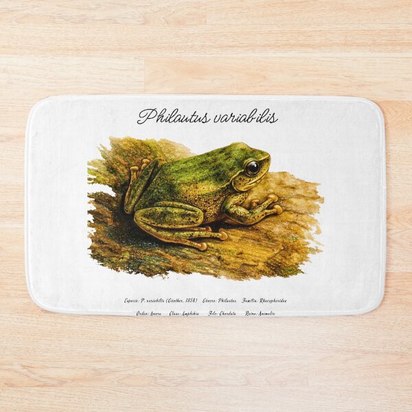 Item preview, Philautus variabilis, Asian Tree Frog designed and sold by Flores1965.