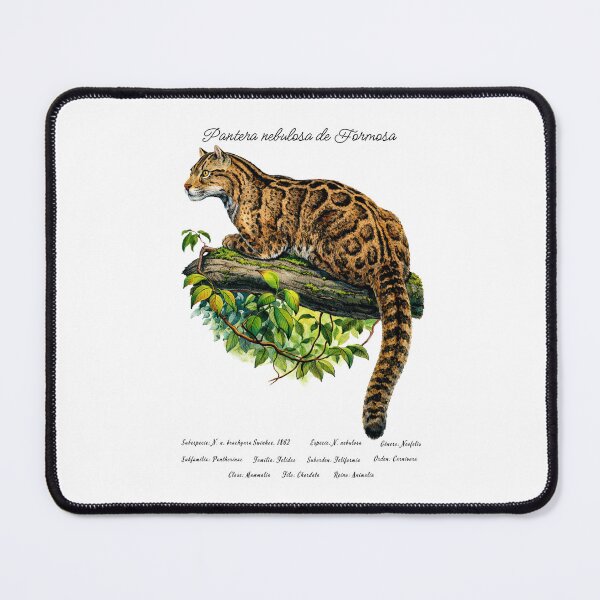 Item preview, Formosan Clouded Leopard designed and sold by Flores1965.