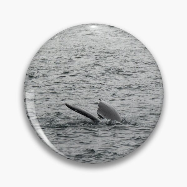 Item preview, Spot the Whale Tail designed and sold by TinyDinoDesigns.