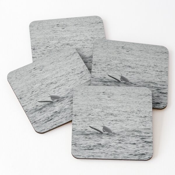 Item preview, Spot the Whale Tail designed and sold by TinyDinoDesigns.