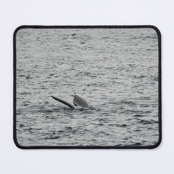 Item preview, Spot the Whale Tail designed and sold by TinyDinoDesigns.