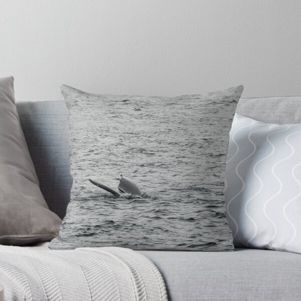 Item preview, Spot the Whale Tail designed and sold by TinyDinoDesigns.
