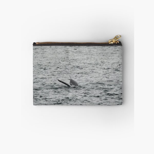 Item preview, Spot the Whale Tail designed and sold by TinyDinoDesigns.