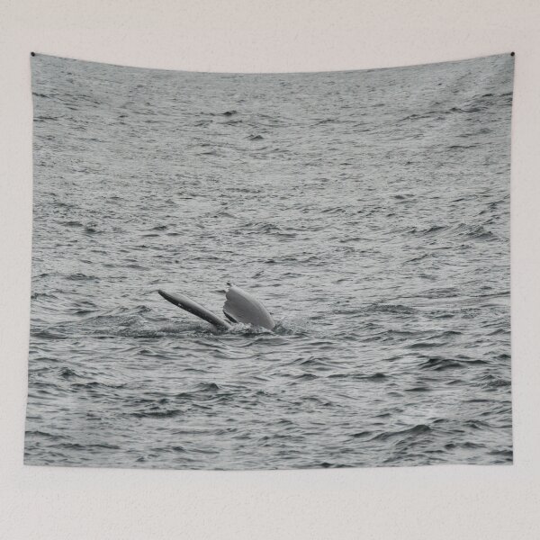 Item preview, Spot the Whale Tail designed and sold by TinyDinoDesigns.