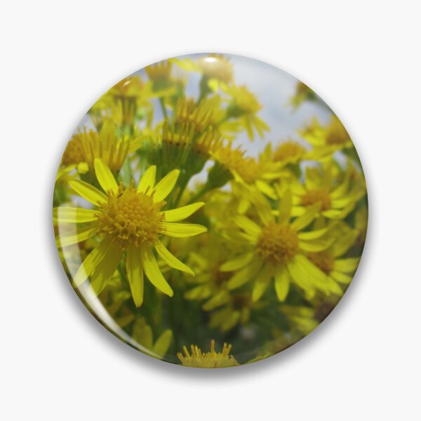 Item preview, Common Ragwort Art Print Magnet designed and sold by RozDoz.