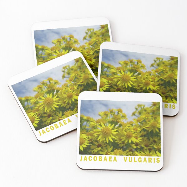Item preview, Common Ragwort Art Print Magnet designed and sold by RozDoz.