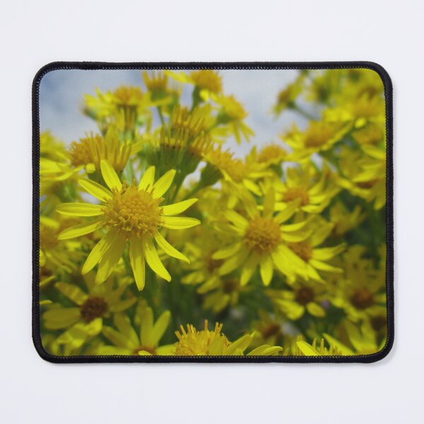 Item preview, Common Ragwort Art Print Magnet designed and sold by RozDoz.