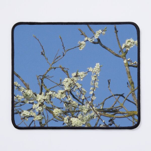Item preview, White Cherry Blossoms Art Print Magnet designed and sold by RozDoz.