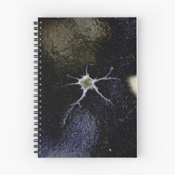 Item preview, Brink  designed and sold by JMT Designs.