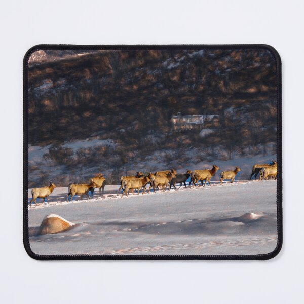 Item preview, Elk Herd in Aspen designed and sold by Wayne King.