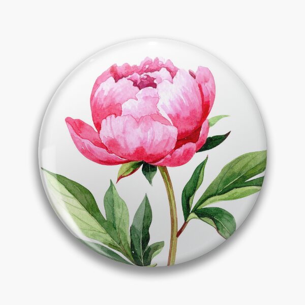 Aperçu de l'œuvre Illustration de pivoine rose à l'aquarelle créée et vendue par Rutvain.