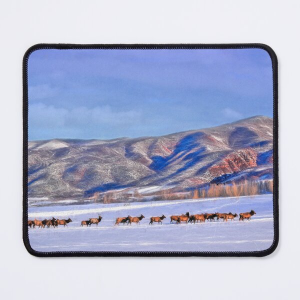 Item preview, Aspen Elk in a Painted Sky designed and sold by Wayne King.