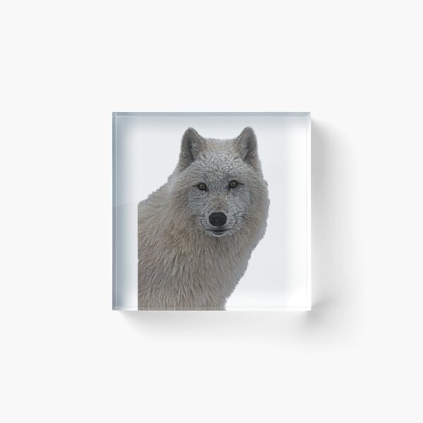 Item preview, The Beauty of the Arctic Wolf designed and sold by NoxLand.