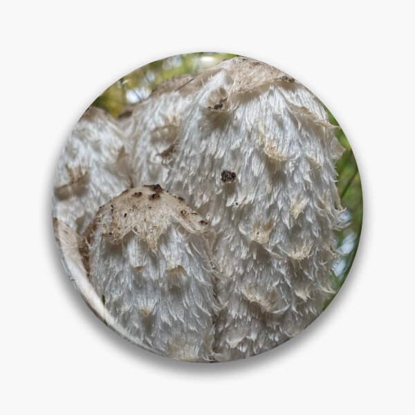 Item preview, shaggy ink caps after rain designed and sold by TsvietkovaArt.