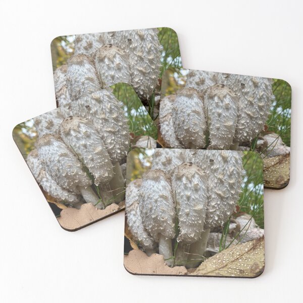 Item preview, shaggy ink caps after rain designed and sold by TsvietkovaArt.