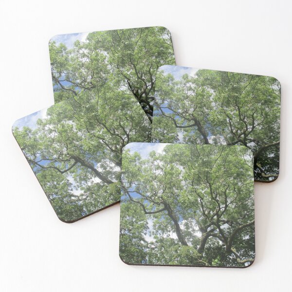 Item preview, Lush Green Tree Branches Against A Blue Sky designed and sold by RozDoz.