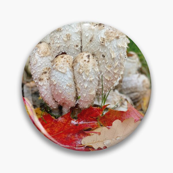 Item preview, autumn forest still life with shaggy ink cap mushrooms designed and sold by TsvietkovaArt.