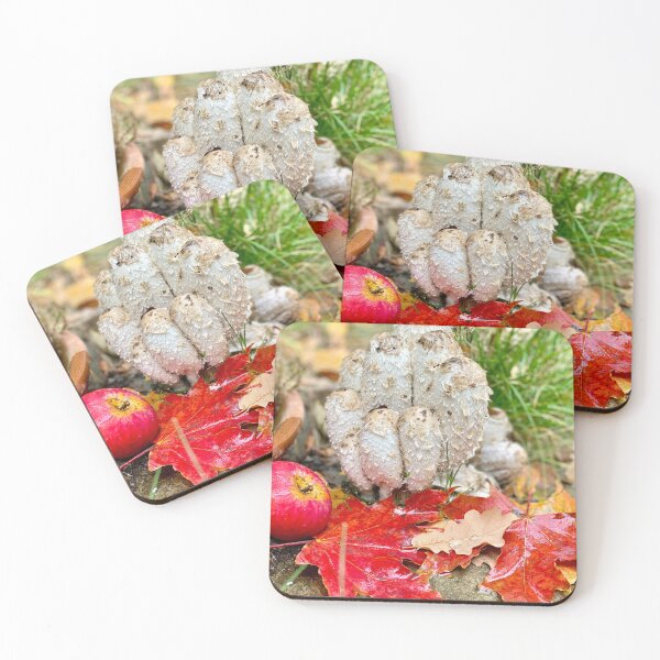 Item preview, autumn forest still life with shaggy ink cap mushrooms designed and sold by TsvietkovaArt.