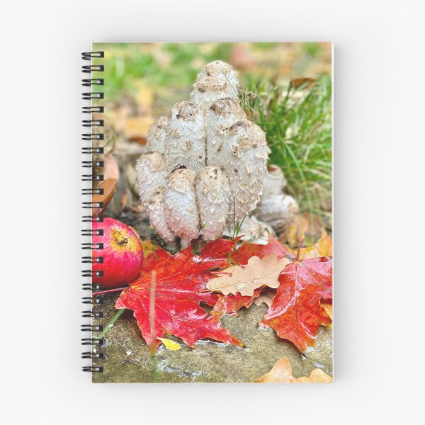 Item preview, autumn forest still life with shaggy ink cap mushrooms designed and sold by TsvietkovaArt.