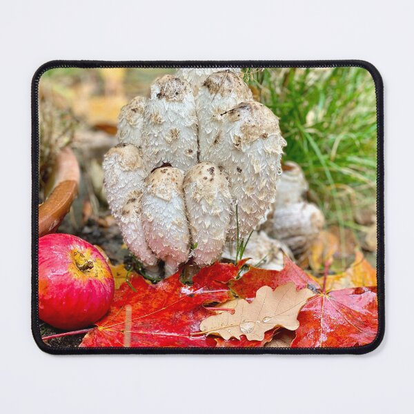 Item preview, autumn forest still life with shaggy ink cap mushrooms designed and sold by TsvietkovaArt.