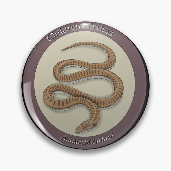 Artikelvorschau, Kinderpython - Antaresia childreni entworfen und verkauft von CrypticBestiary.