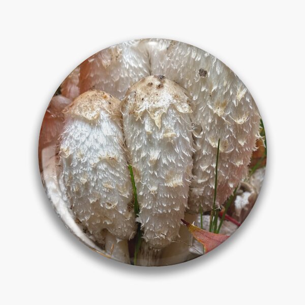 Item preview, autumn forest still life with shaggy ink cap mushrooms designed and sold by TsvietkovaArt.