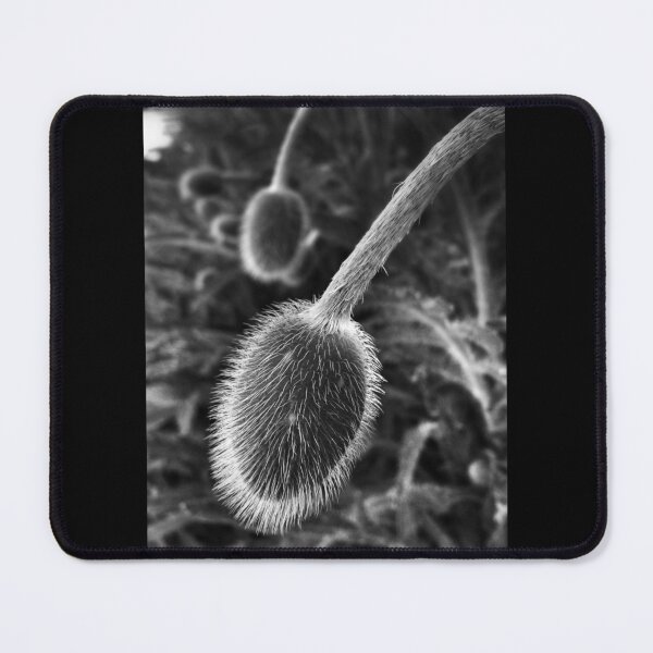 Item preview, Pods designed and sold by PementPhotoArt.