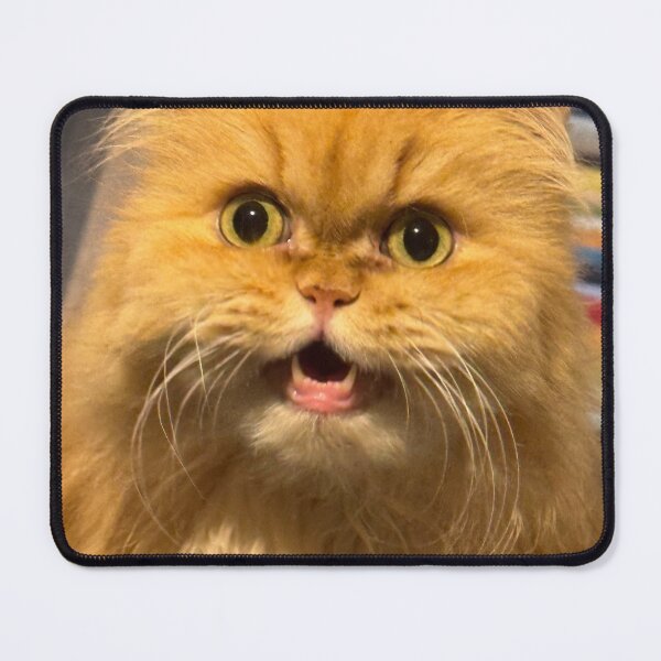 Item preview, Angry Ginger Cat designed and sold by NeitherNeither.
