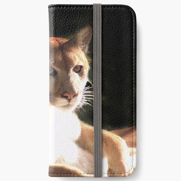 Thatcher iPhone Wallet