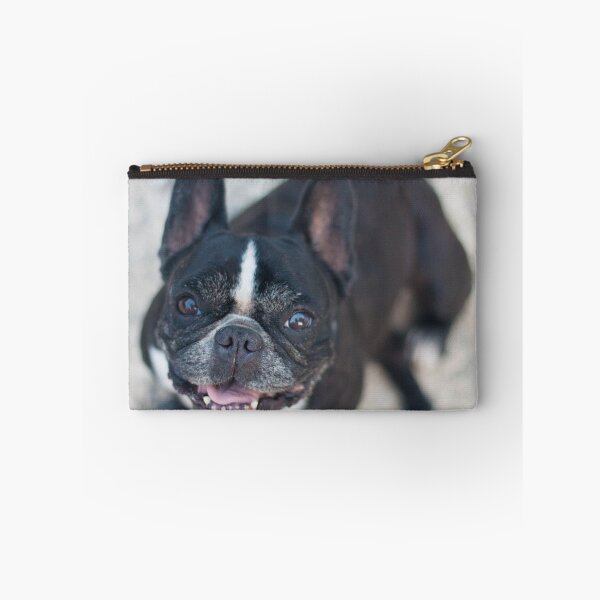 Item preview, Say Cheese designed and sold by lindsey partridge.