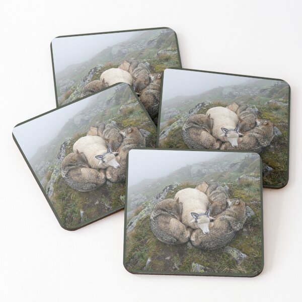 Item preview, A Sheep in Wolf's Clothing designed and sold by Tridentulus.