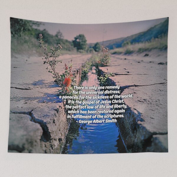 Item preview, Remedy For The Universal Distress designed and sold by Emilyromrell.