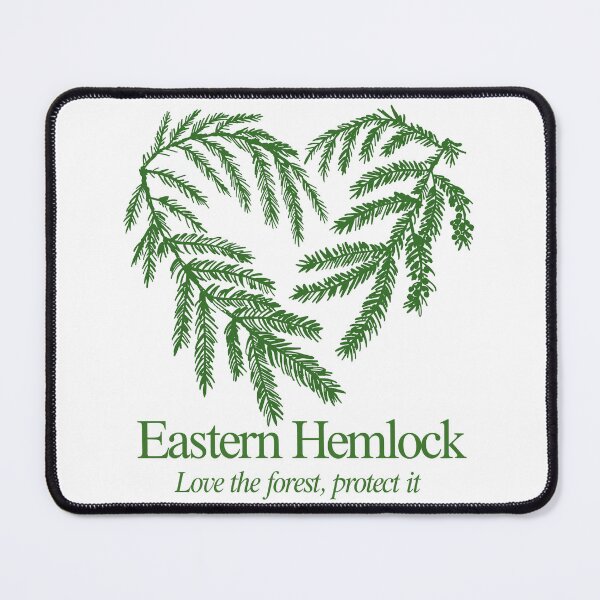 Item preview, Eastern Hemlock designed and sold by JessArty ⭐⭐⭐⭐⭐.