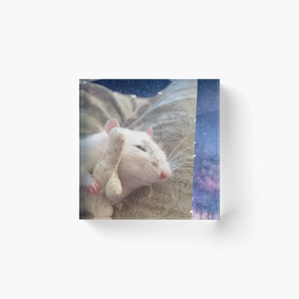 Item preview, Rat sleeping through the galaxy xx designed and sold by MysticRacoon6.