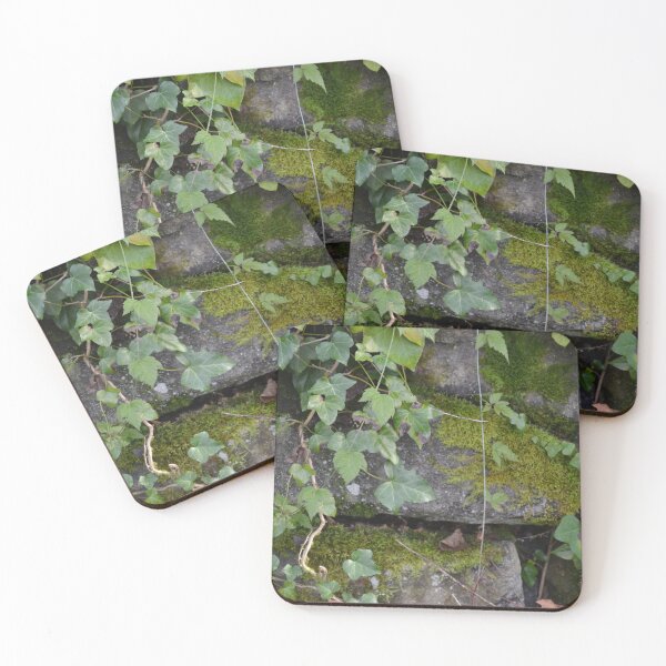 Item preview, Nature designed and sold by OddishLab.