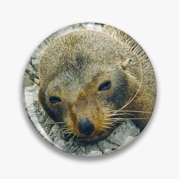 Item preview, Wild Baby Seal designed and sold by Siene Browne.