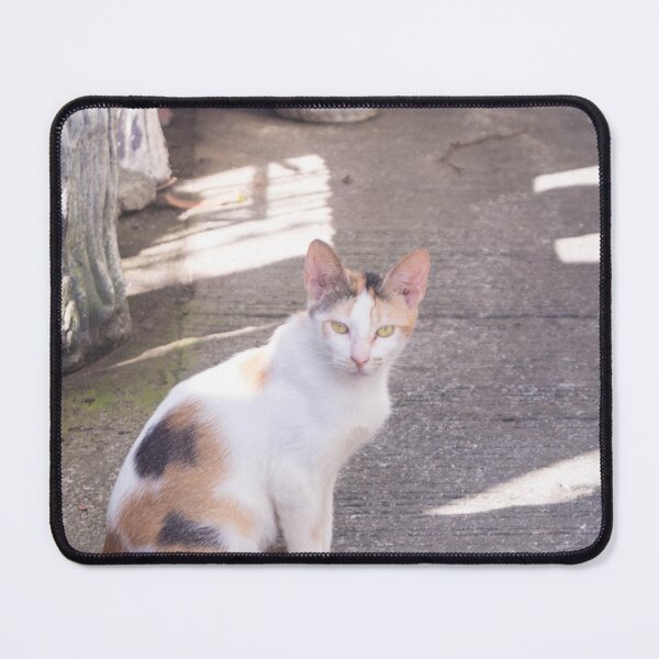 Item preview, It's Been So Long - Cat designed and sold by ROSE ANN BANILAR.