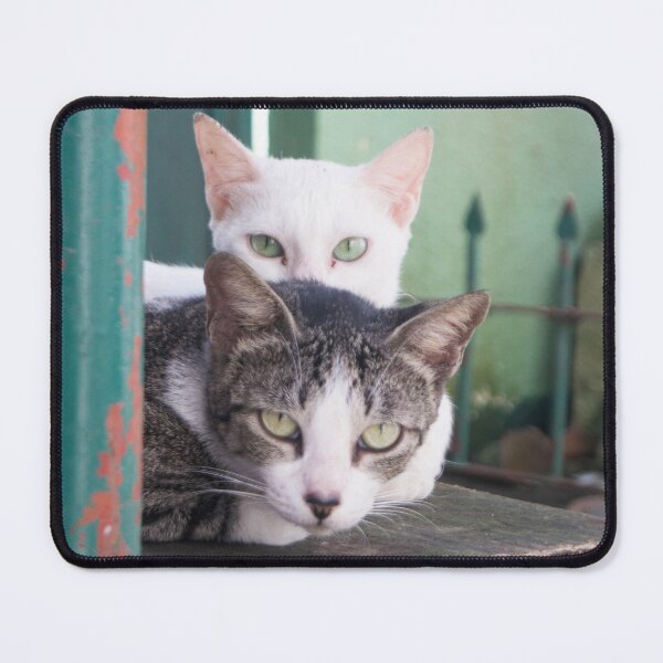 Item preview, Two Heads are Better than One - Cats designed and sold by ROSE ANN BANILAR.