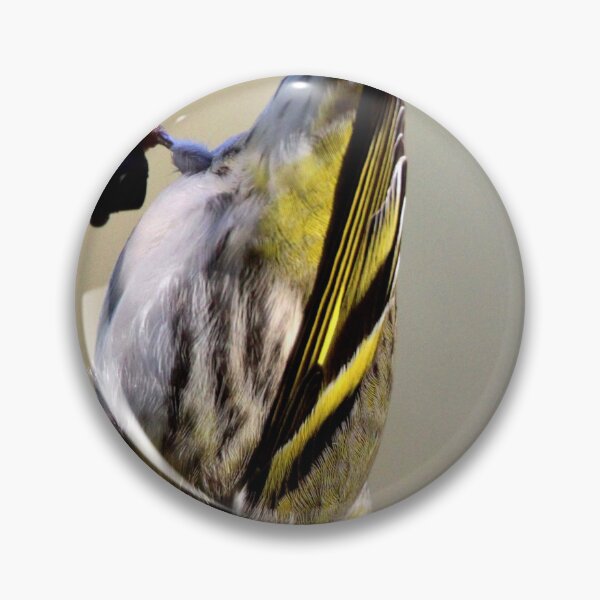 Item preview, siskin designed and sold by KathleenDawson.