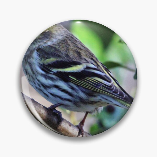 Item preview, siskin designed and sold by KathleenDawson.