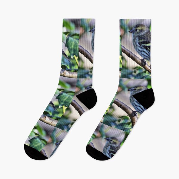 Item preview, siskin designed and sold by KathleenDawson.