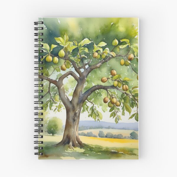 Item preview, Walnut tree designed and sold by Kraftbaum.