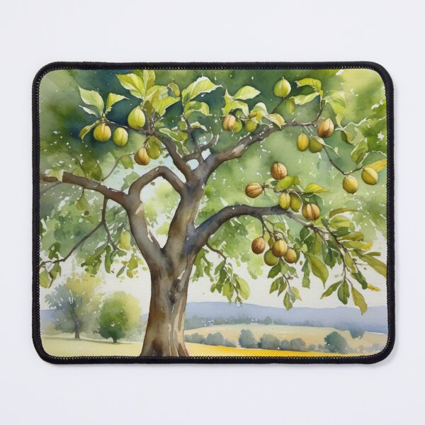Item preview, Walnut tree designed and sold by Kraftbaum.