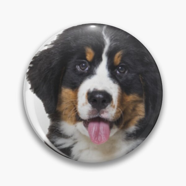Item preview, Gentle Giant - Bernese Mountain Dog Love designed and sold by NoxLand.