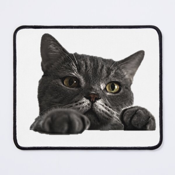 Item preview, Cute Peeking Cat - Funny Curious Kitty Illustration designed and sold by NoxLand.